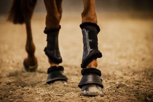 Show full view: Stubben Airflow Brushing Fleece Lined Horse Boots, Black, Medium slide 5 of 8