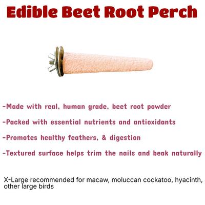 Show full view: Polly's Pet Products Beet Root Bird Perch, X-Large slide 6 of 9