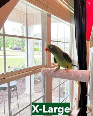 Show full view: Polly's Pet Products Beet Root Bird Perch, X-Large slide 2 of 9