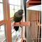Show in main carousel: Polly's Pet Products Beet Root Bird Perch, Medium slide 7 of 9