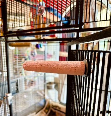 Show full view: Polly's Pet Products Beet Root Bird Perch, Small slide 8 of 10