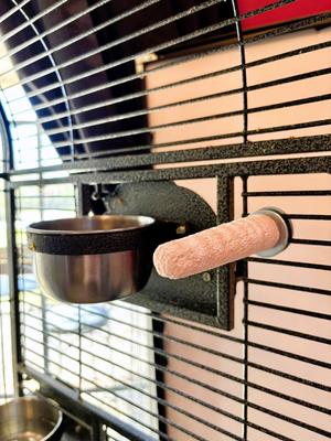 Show full view: Polly's Pet Products Beet Root Bird Perch, Small slide 7 of 10