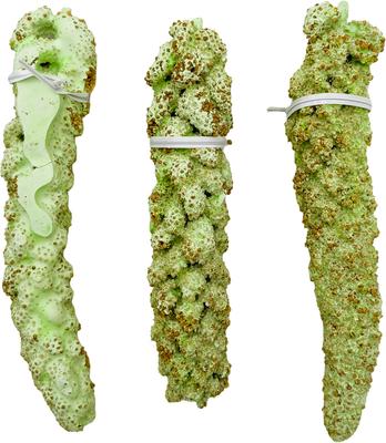 Show full view: Polly's Pet Products Ultimate Millet Green Apple Flavor Bird Treat slide 3 of 4