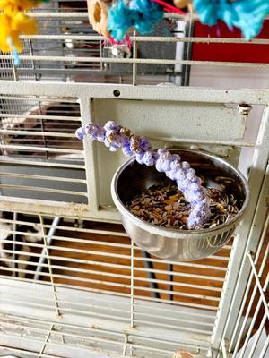 Show full view: Polly's Pet Products Ultimate Millet Blueberry Flavor Bird Treat slide 6 of 9