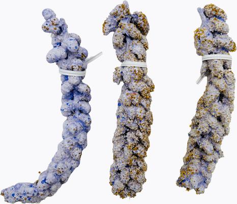 Show full view: Polly's Pet Products Ultimate Millet Blueberry Flavor Bird Treat slide 2 of 9