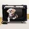 Show in main carousel: PetLuv Premium Rolling Soft-Sided Cat & Dog Carrier on Wheels, Black, Large slide 1 of 11