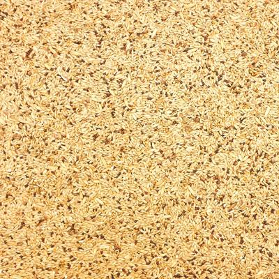 Show full view: Higgins Supreme Seed Canary Food, 50-lb bag slide 3 of 5