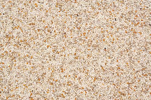 Show full view: Higgins Supreme Seed Finch Food, 50-lb bag slide 3 of 5