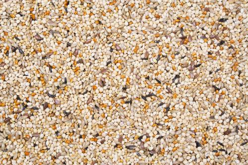 Show full view: Higgins Supreme Seed Parakeet Food, 50-lb bag slide 3 of 5