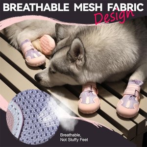 Furmate All-Weather Dog Boots, Purple, 11 to 23-lbs