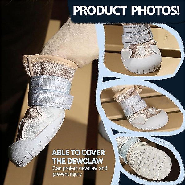 Show full view: Furmate All-Weather Dog Boots, Blue, 31to 40-lbs slide 7 of 7