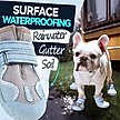 Show in main carousel: Furmate All-Weather Dog Boots, Blue, 31to 40-lbs slide 5 of 7