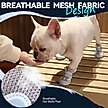 Show in main carousel: Furmate All-Weather Dog Boots, Blue, 31to 40-lbs slide 4 of 7