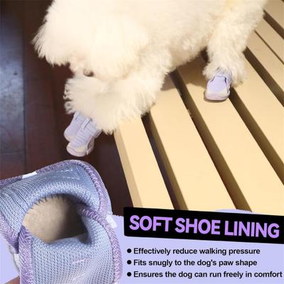 Show full view: Furmate All-Weather Dog Boots, Purple, 10 to 11-lbs slide 6 of 7