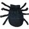 Show in main carousel: Pet Life Creepy Webs Holiday Spider Dog Costume, Medium slide 3 of 3
