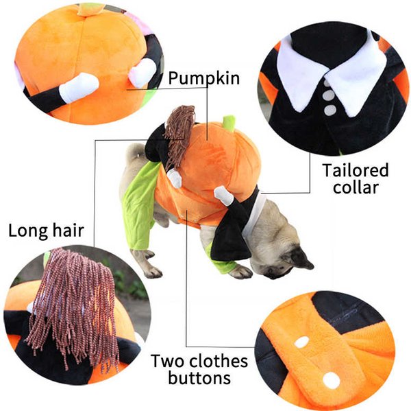 Pet Life Pumpkin Mon Halloween Dog Costume