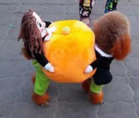 Show full view: Pet Life Pumpkin Mon Halloween Dog Costume, Large slide 5 of 7