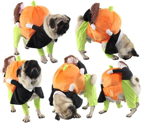 Show full view: Pet Life Pumpkin Mon Halloween Dog Costume, Large slide 2 of 7