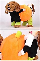 Pet Life Pumpkin Mon Halloween Dog Costume, Large slide 2 of 6