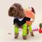 Show in main carousel: Pet Life Pumpkin Mon Halloween Dog Costume, Large slide 4 of 7