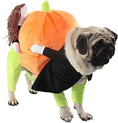 Pet Life Pumpkin Mon Halloween Dog Costume, X-Large