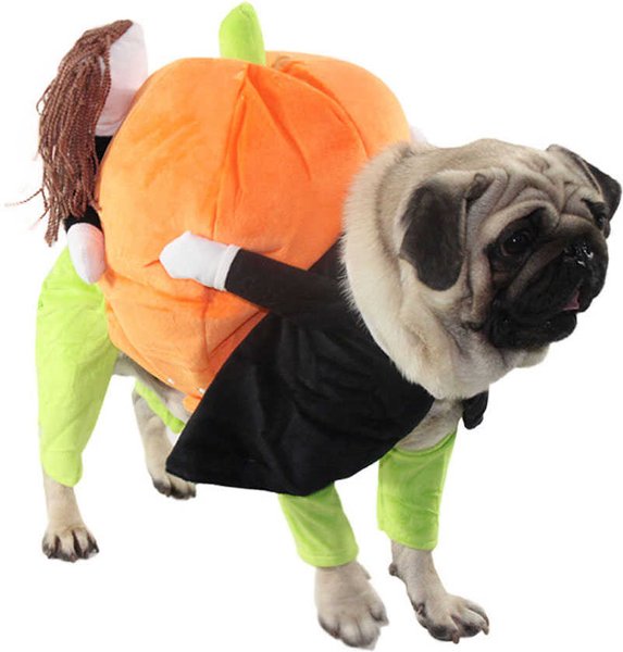 Pet Life Pumpkin Mon Halloween Dog Costume