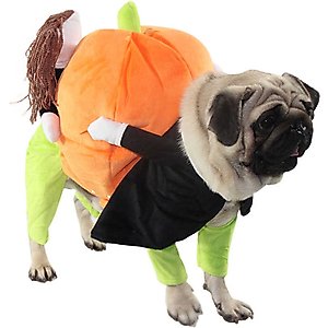 Pet Life Pumpkin Mon Halloween Dog Costume
