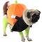 Show in main carousel: Pet Life Pumpkin Mon Halloween Dog Costume, Large slide 1 of 7