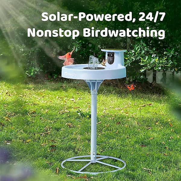 Show full view: Birdfy Solar Powered Smart Bird Bath with Camera AI Lifetime, Blue slide 5 of 10
