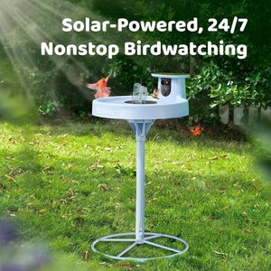 Birdfy Solar Powered Smart Bird Bath with Camera AI Lifetime, Blue