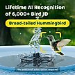 Show in main carousel: Birdfy Solar Powered Smart Bird Bath with Camera AI Lifetime, Blue slide 3 of 10