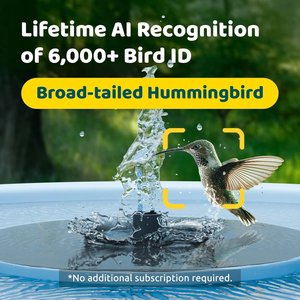 Birdfy Solar Powered Smart Bird Bath with Camera AI Lifetime, Blue