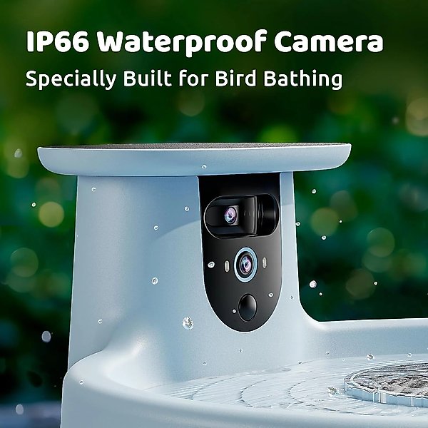 Show full view: Birdfy Solar Powered Smart Bird Bath with Camera, Blue slide 7 of 9
