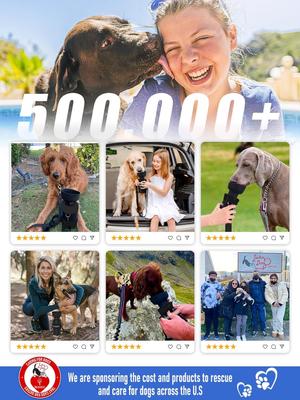 Show full view: LESOTC Portable Dog Water Bottle Dispenser, Black, 28-oz slide 7 of 7