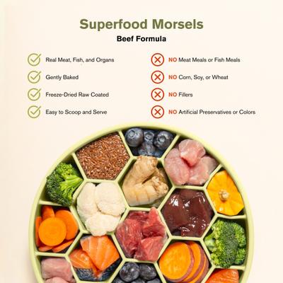 Show full view: Badlands Ranch Superfood Complete Raw Coated Morsels Beef Dry Dog Food, 10-lb bag slide 9 of 11