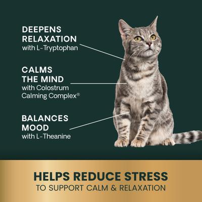 Show full view: VetriScience Veterinary Strength Calm & Confident Composure Pro Liquid Calming Supplement for Dogs & Cats, 8-fl oz bottle slide 6 of 10