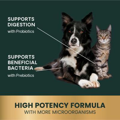 Show full view: VetriScience Veterinary Strength Gut Health Entero Flora Pro Powder Digestive Supplement for Dogs & Cats, 60-g jar slide 6 of 11