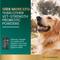 Show in main carousel: VetriScience Veterinary Strength Gut Health Entero Flora Pro Powder Digestive Supplement for Dogs & Cats, 60-g jar slide 4 of 11