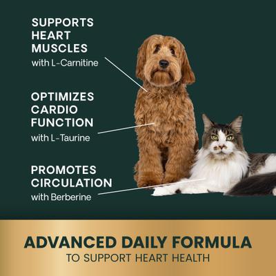 Show full view: VetriScience Veterinary Strength Healthy Heart Cardio Pro Chicken Flavored Soft Chew Heart Supplement for Dogs & Cats, 60 count slide 6 of 10
