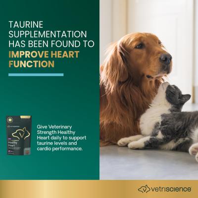 Show full view: VetriScience Veterinary Strength Healthy Heart Cardio Pro Chicken Flavored Soft Chew Heart Supplement for Dogs & Cats, 60 count slide 4 of 10