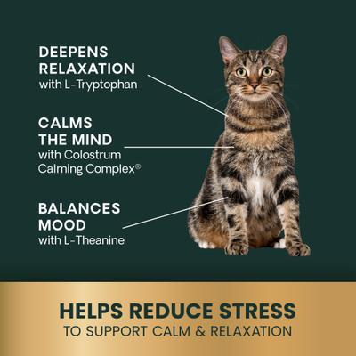 Show full view: VetriScience Veterinary Strength Calm & Confident Composure Pro Chicken Flavored Soft Chew Calming Supplement for Cats, 45 count slide 6 of 11