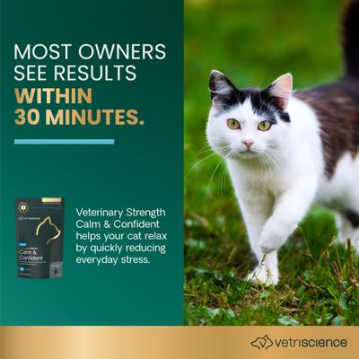 Show full view: VetriScience Veterinary Strength Calm & Confident Composure Pro Chicken Flavored Soft Chew Calming Supplement for Cats, 45 count slide 4 of 11