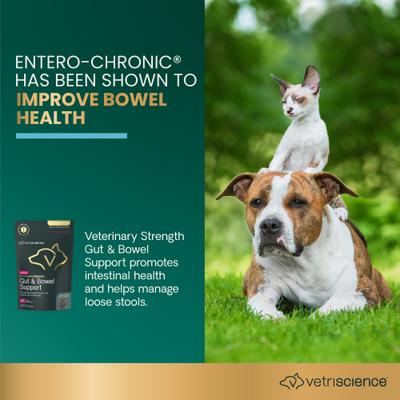 Show full view: VetriScience Veterinary Strength Gut & Bowel Support Entero Health Pro Duck Flavored Soft Chew Digestive Supplement for Dogs, 60 count slide 4 of 10