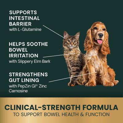 Show full view: VetriScience Veterinary Strength Gut & Bowel Support Entero Health Pro Duck Flavored Soft Chew Digestive Supplement for Dogs, 60 count slide 6 of 10