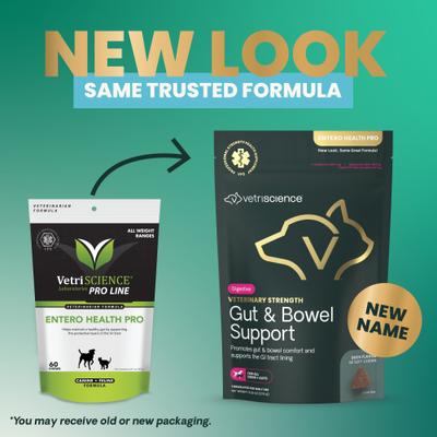 Show full view: VetriScience Veterinary Strength Gut & Bowel Support Entero Health Pro Duck Flavored Soft Chew Digestive Supplement for Dogs, 60 count slide 3 of 10