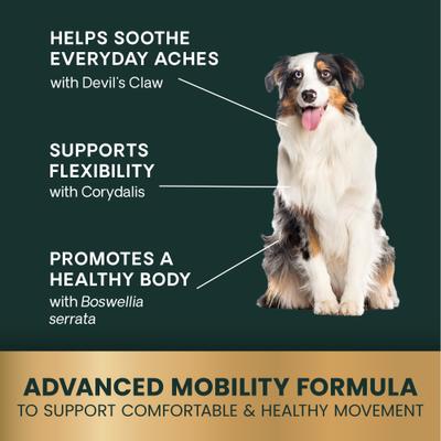 Show full view: VetriScience Veterinary Strength Comfort & Ease DevCor Mobility Pro Capsule Joint Supplement for Dogs & Cats, 180 count slide 6 of 11