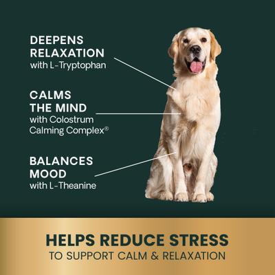 Show full view: VetriScience Veterinary Strength Calm & Confident Composure Pro Chicken Flavored Soft Chew Calming Supplement for Dogs, 60 count slide 7 of 11