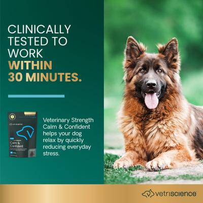 Show full view: VetriScience Veterinary Strength Calm & Confident Composure Pro Chicken Flavored Soft Chew Calming Supplement for Dogs, 60 count slide 4 of 11