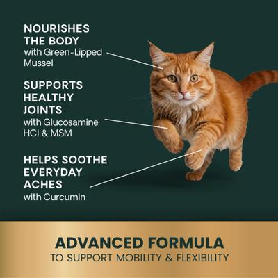 Show full view: VetriScience Veterinary Strength Healthy Hip & Joint VetriFlex Chicken Flavored Soft Chew Joint Supplement for Cats, 60 count slide 8 of 10
