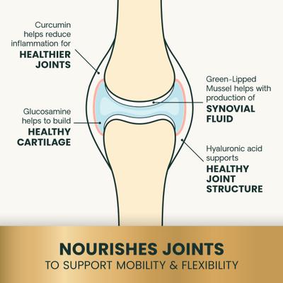 Show full view: VetriScience Veterinary Strength Healthy Hip & Joint VetriFlex Chicken Flavored Soft Chew Joint Supplement for Cats, 60 count slide 6 of 10